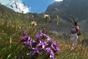 PIZZO FARNO (2506 m.) con giro ad anello per insolita salita dalle Baite di Mezzeno per il Passo di Marogella e Cima di Mezzeno - FOTOGALLERY